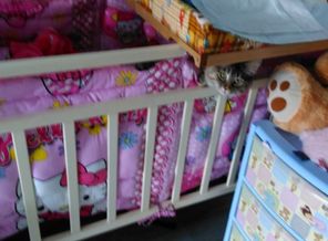 IMG_20160412_111048
