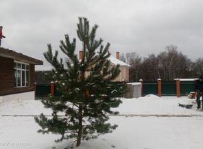 IMG_20161104_125533