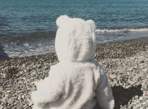 Медведь и море