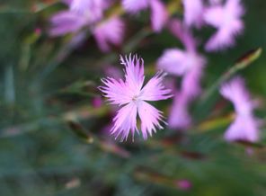 IMG_20160614_201311