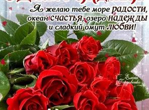 IMG-20151114-WA0005