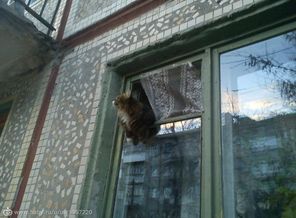 Охота