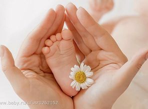 D6AC4561-F1EF-40FD-857E-4C70EEC4A9B2-657-000000A31F3AC680_tmp