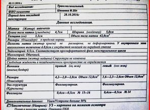 УЗИ органов малого таза 02.11.2016г