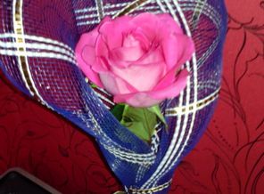 IMG_20150126_130135