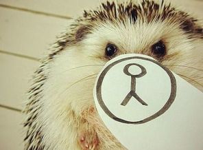 saved-image-A28B5D479E8AB7612B66553DCD510563