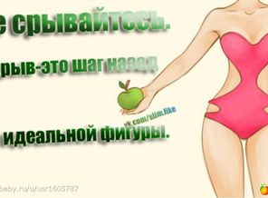 1554033_41492-550x500
