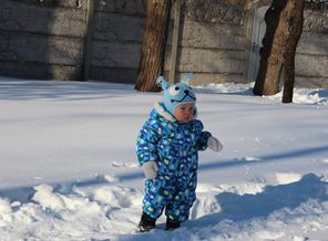 IMG_3086
