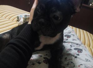 lcoCmIZTDrk