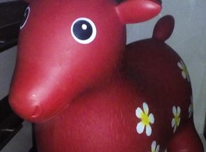 IMG_20161123_231139