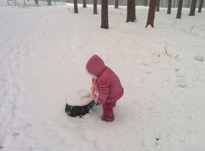 IMG_20150111_135109