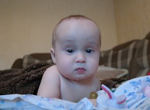 Подозревака)