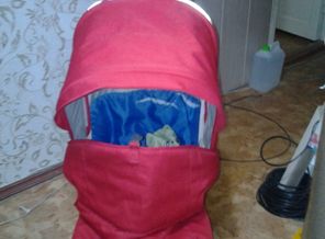 20151228_164641