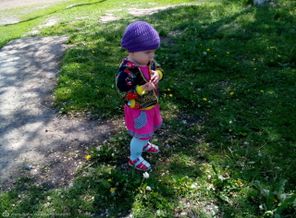 IMG_20160520_142129