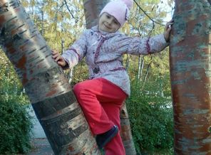 рябина