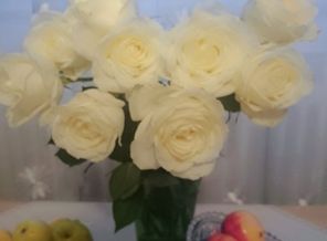 IMG_20160926_071452