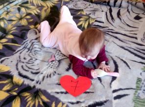 IMG_20170125_121031