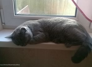 Всех разбудил