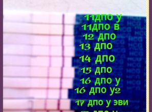 IMG_20160324_082645