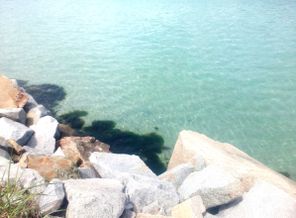 IMG_20160817_124226.jpg