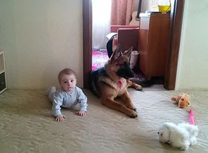 IMG_20161205_005401_3