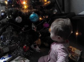 15-12-25-11-38-14-282_photo