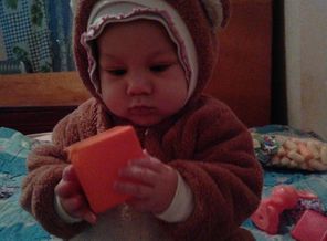 IMG_20161126_155353