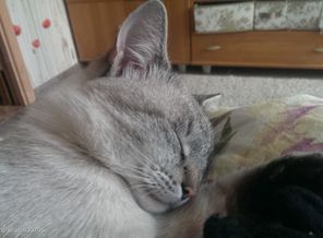 IMAG0412