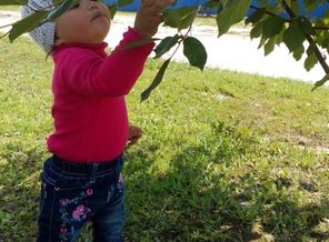IMG_20150713_105200_1