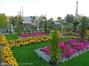image(10)