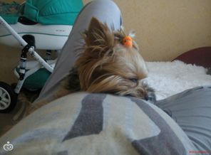 IMG_20161130_120524