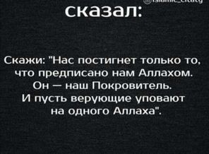 IMG-20160830-WA0116