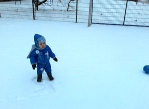 IMG_20151227_224909_1