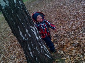 IMG_20161102_130737_9