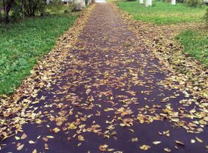 IMG_20160930_170458
