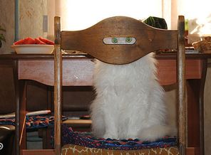 IMG_20141019_170305_101