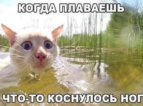 KbyDym2lDbk