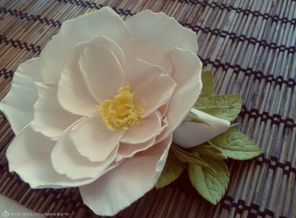 20160531_172804