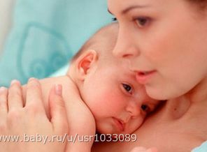 picture_17_17_02_11_15