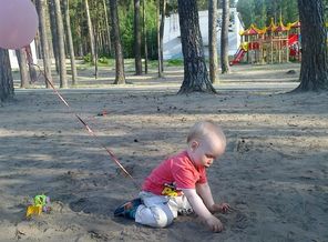 Бор и песок - чудесный летний денек :-)