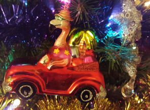 IMG_20160125_081937_3