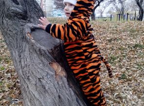 Тигр в лесу