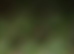 1487377414996