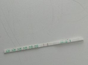 E57Eclhn-wo