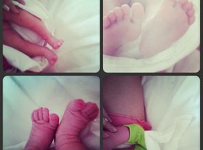 img1468249859518