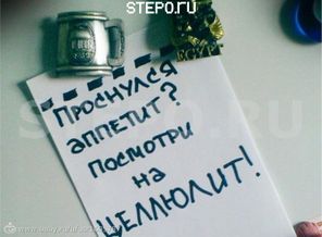 62396086753d4e72b9a122089c887e6f-topcrop-800x600