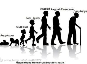 image (2)