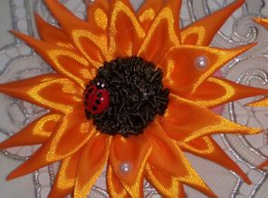 IMG_20161009_100749