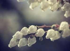 IMG_20160327_001406