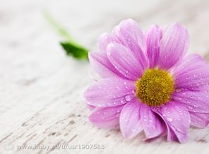 400254-5616x3744.jpg.600x450_q85_crop